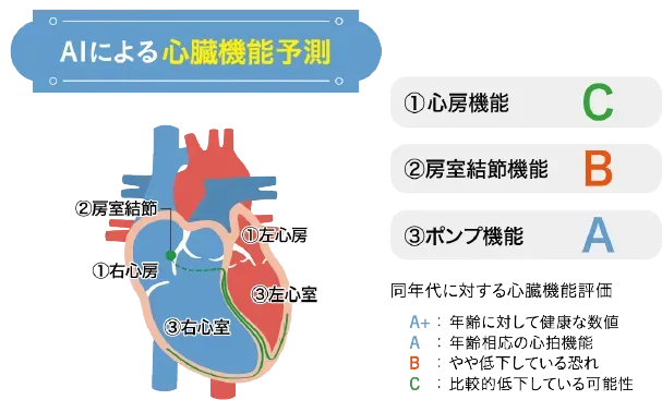 AIによる心臓機能予測。①心房機能C、②自律神経調節機能B、③ポンプ機能A