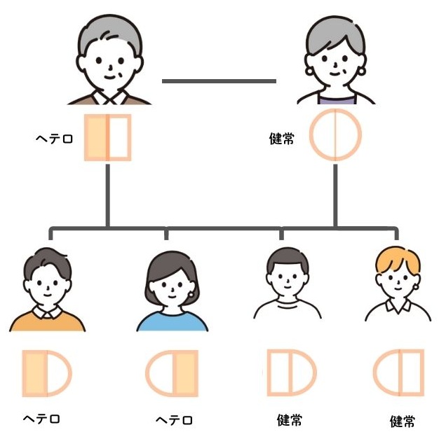 家族性高コレステロール血症の遺伝例