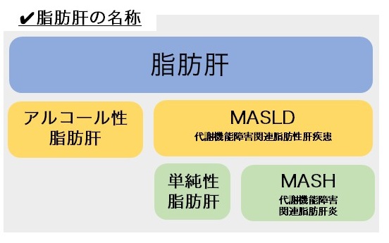 非アルコール性の脂肪肝・脂肪肝炎が起こる原因