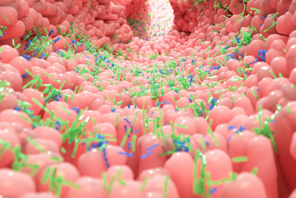 そもそも、腸内フローラとは？