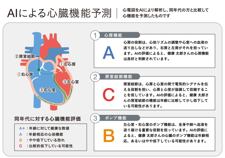 3つの心機能で心臓のコンディションが分かる